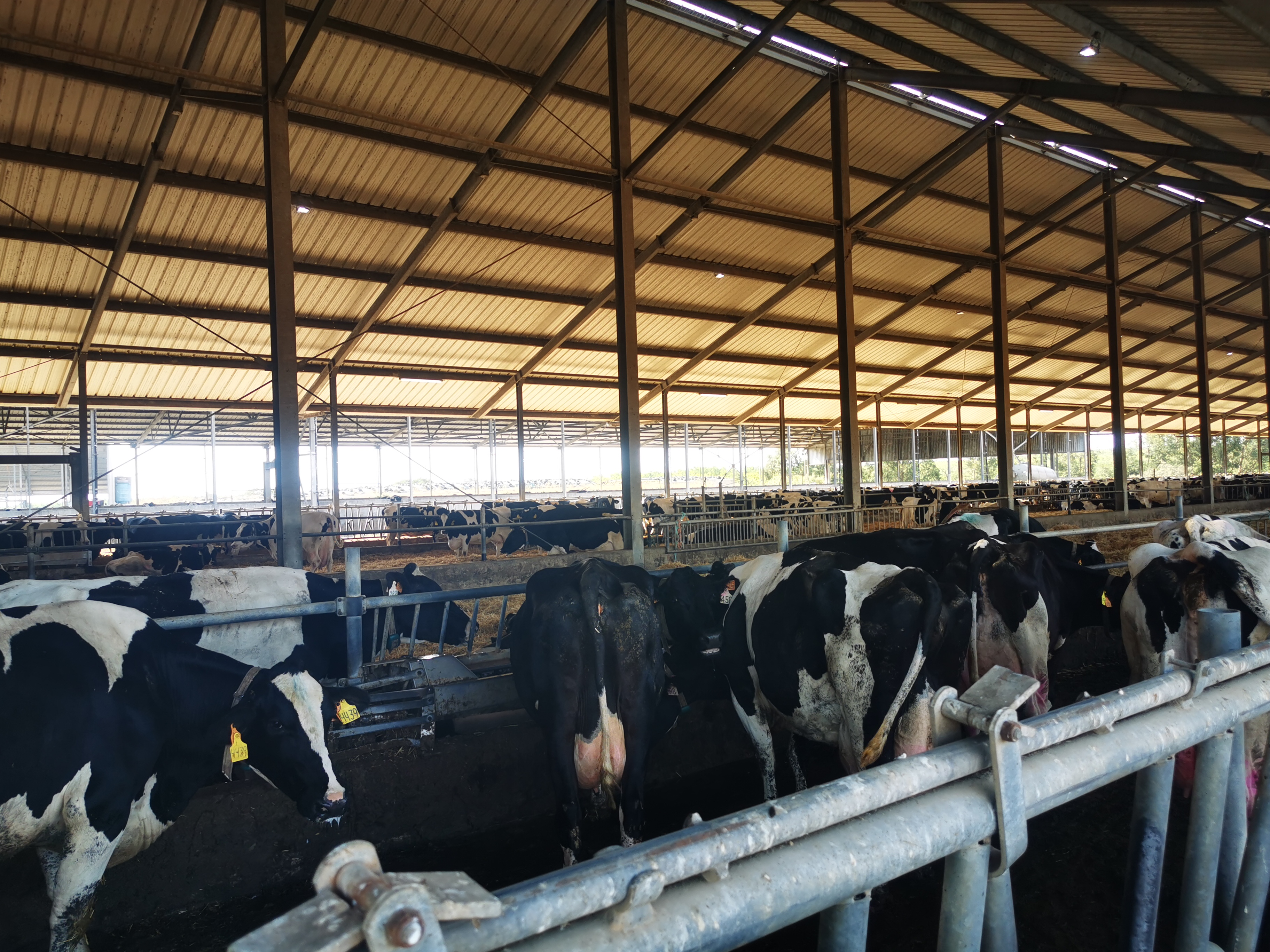 Área de alimentação