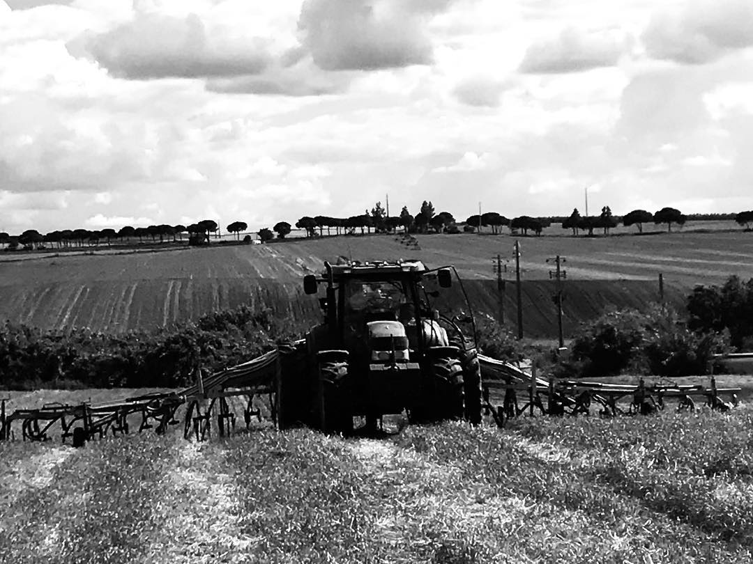 Exploração agrícola